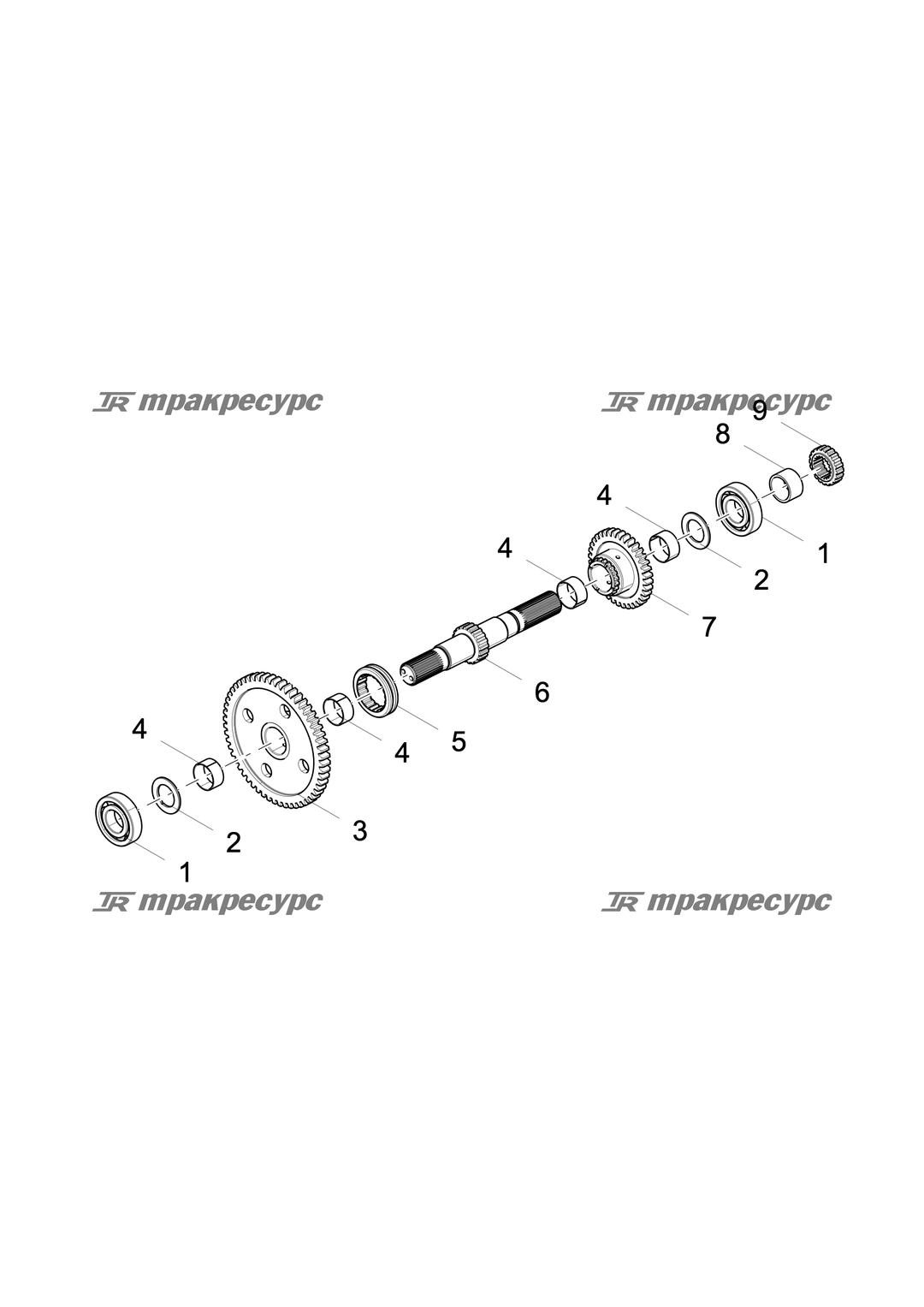 P000071062A2.png