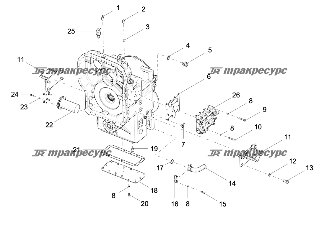 P000071142A2.png