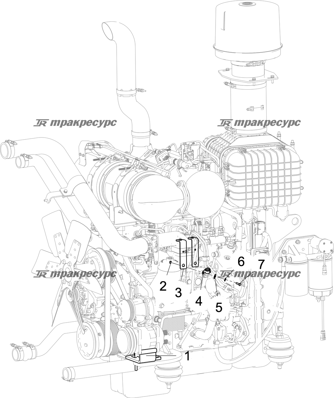 P000071903A2.png