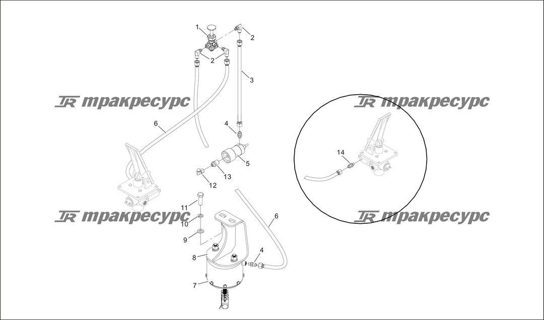 P000071.png