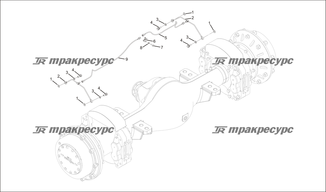 P000071.png