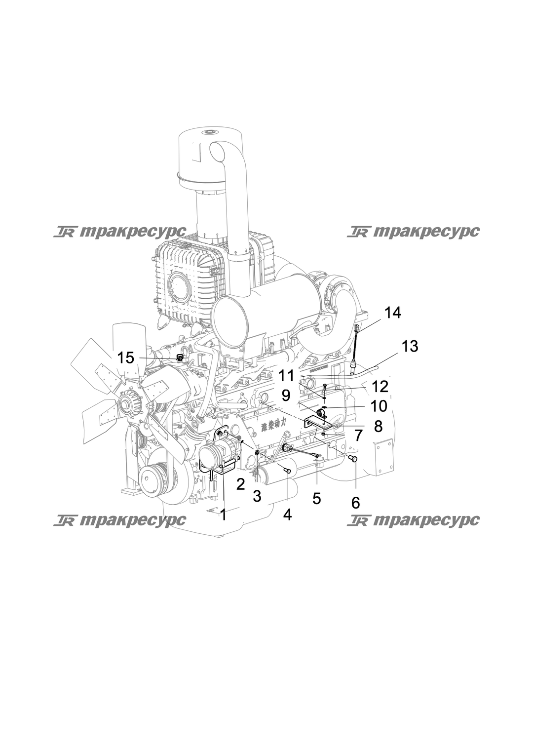 P000072142A2.png