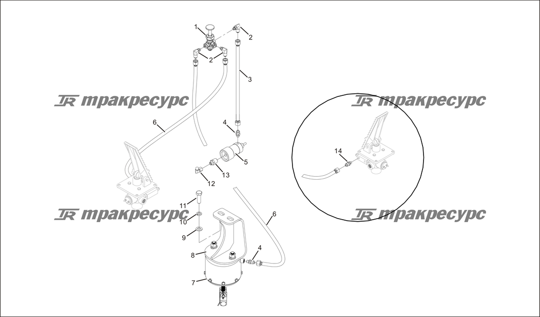 P000073.png