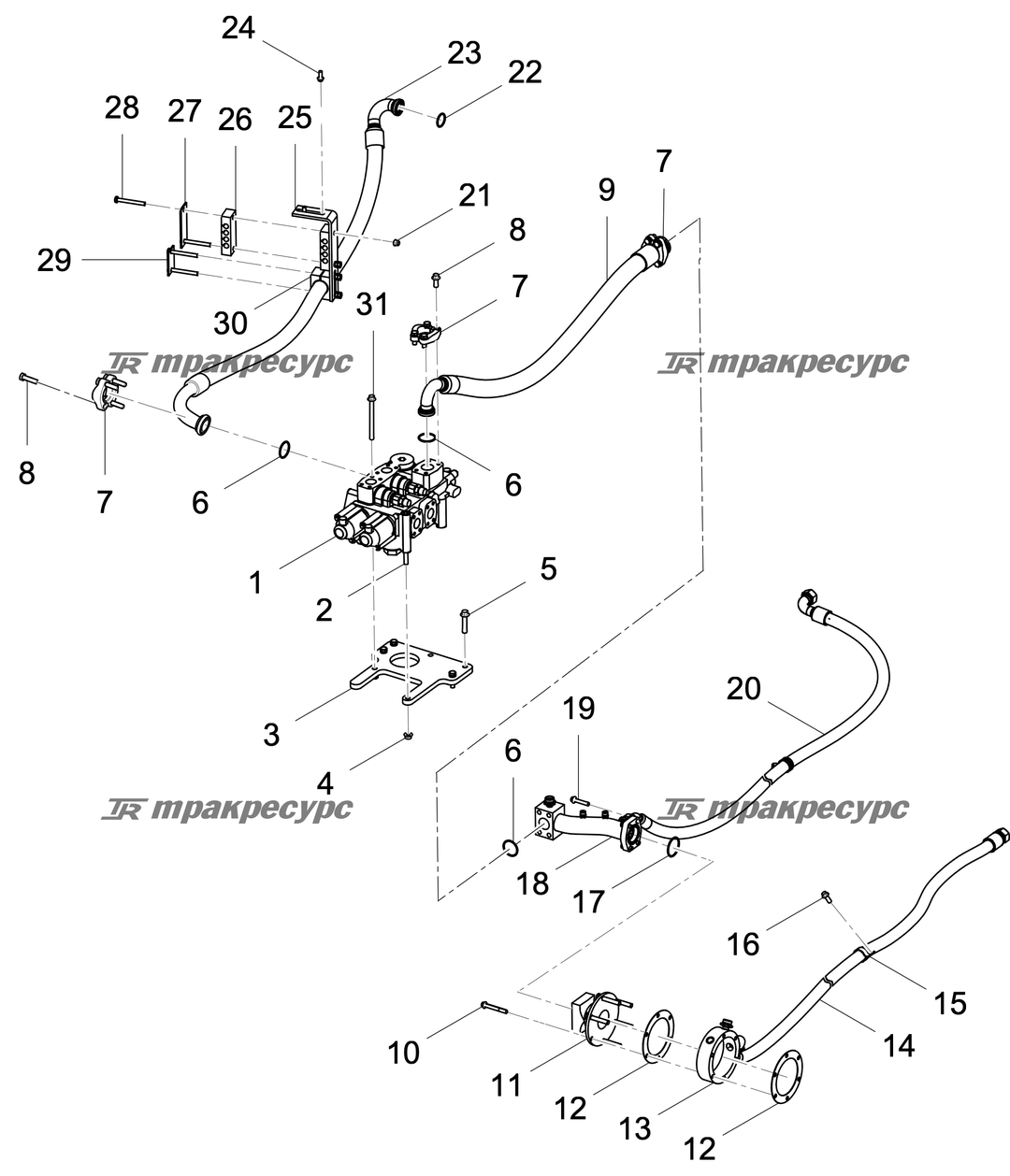 P000074722A3.png