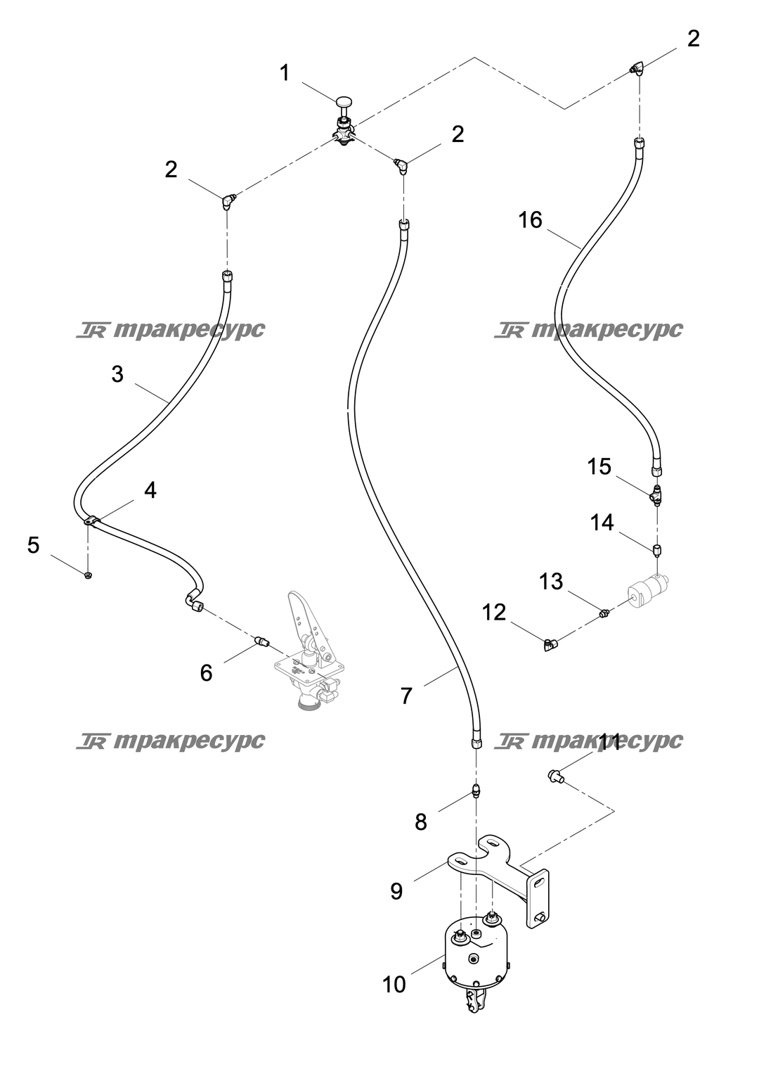 P000075802A9.png