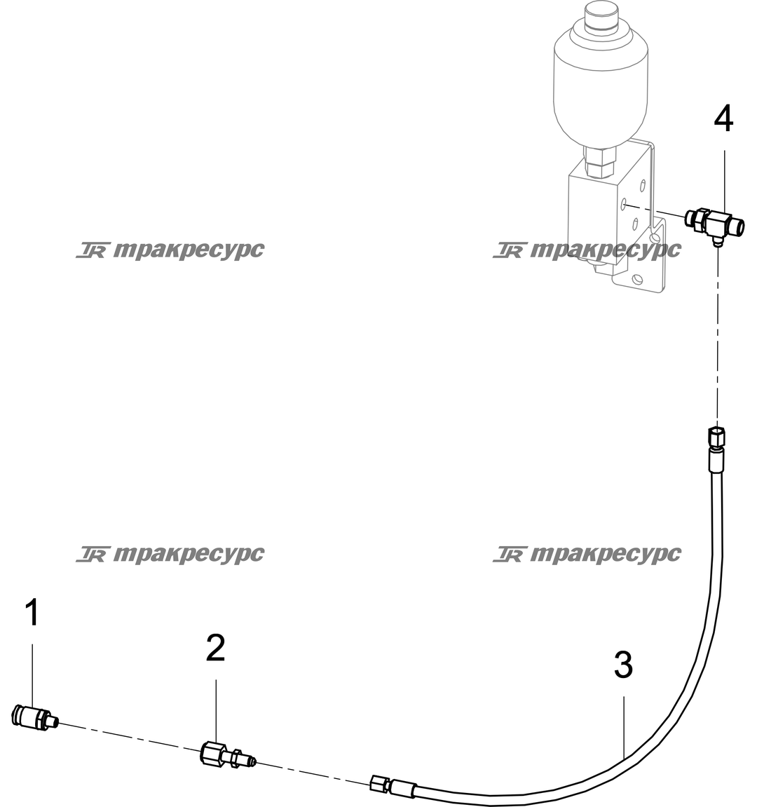 P000076082A2.png