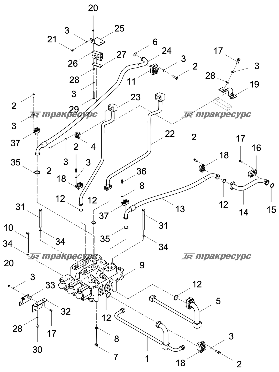 P000076322A2.png