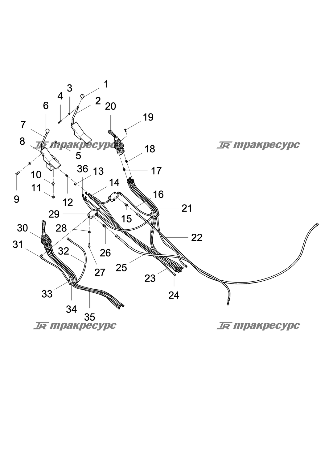 P000076562A2.png