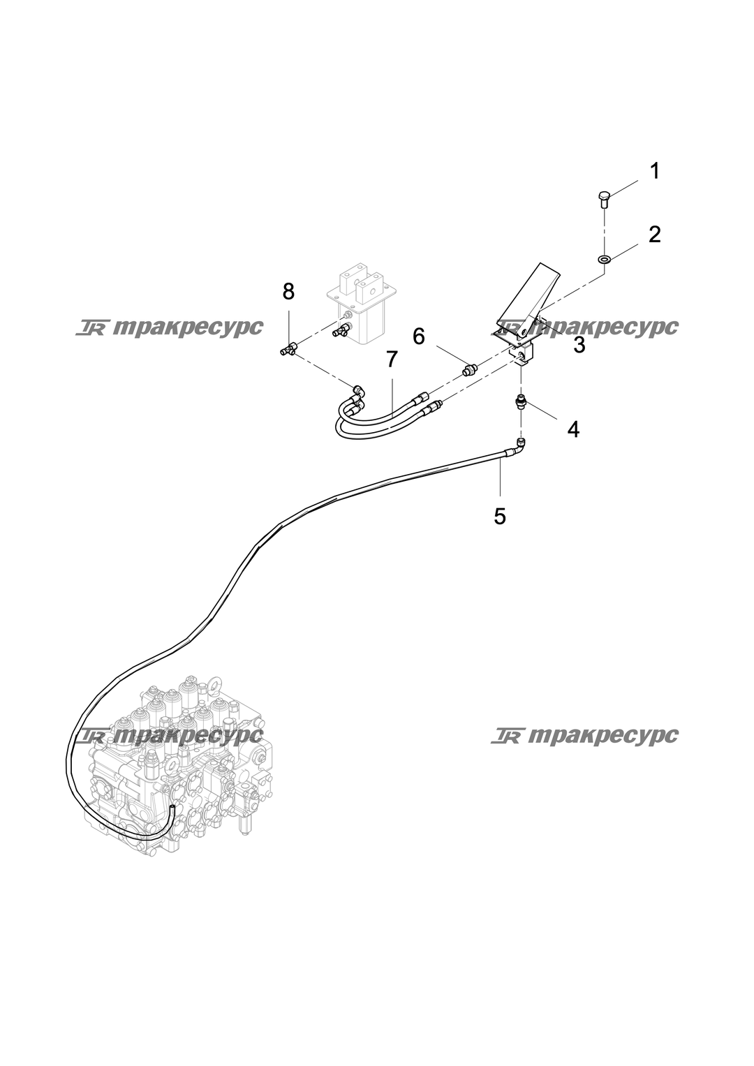 P000076623A2.png