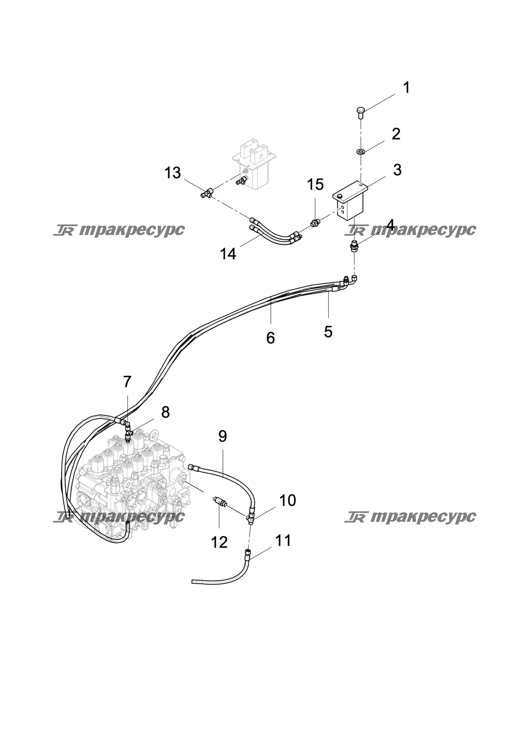 P000076644A2.png