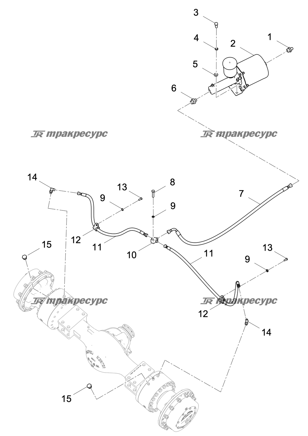 P000077182A2.png