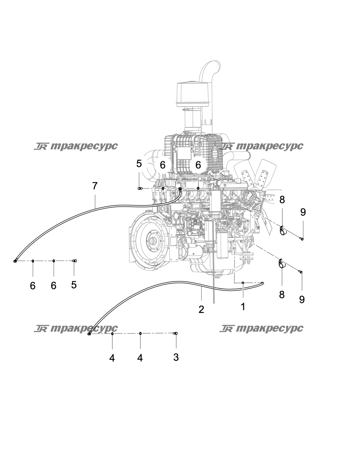 P000078523A2.png