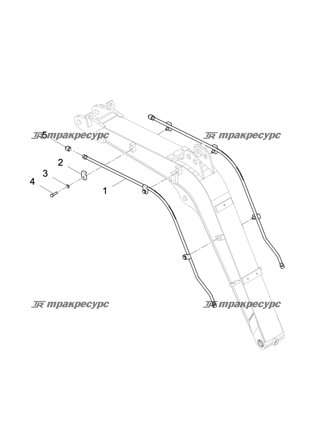 P000078622A2.png