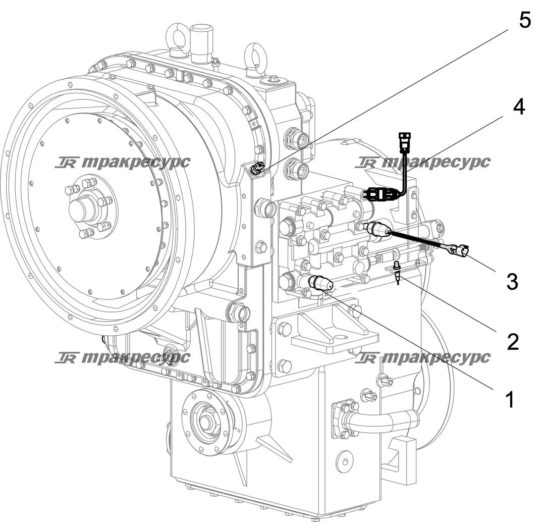 P000079566A2.png