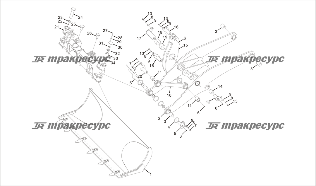 P000079.png