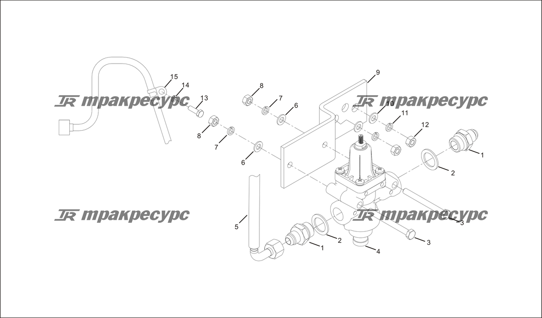 P000079.png