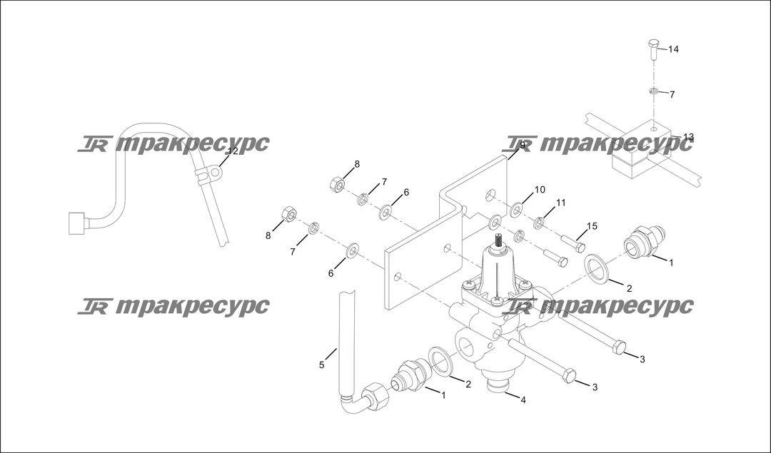 P000081.png