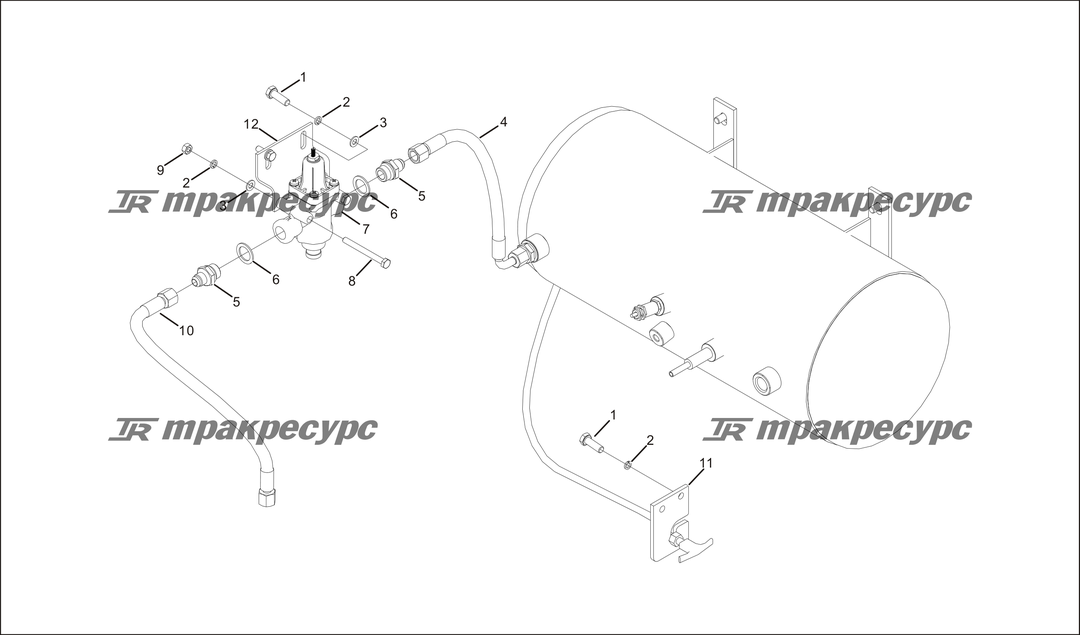 P000081.png