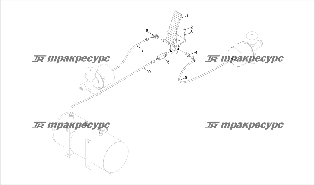 P000081.png