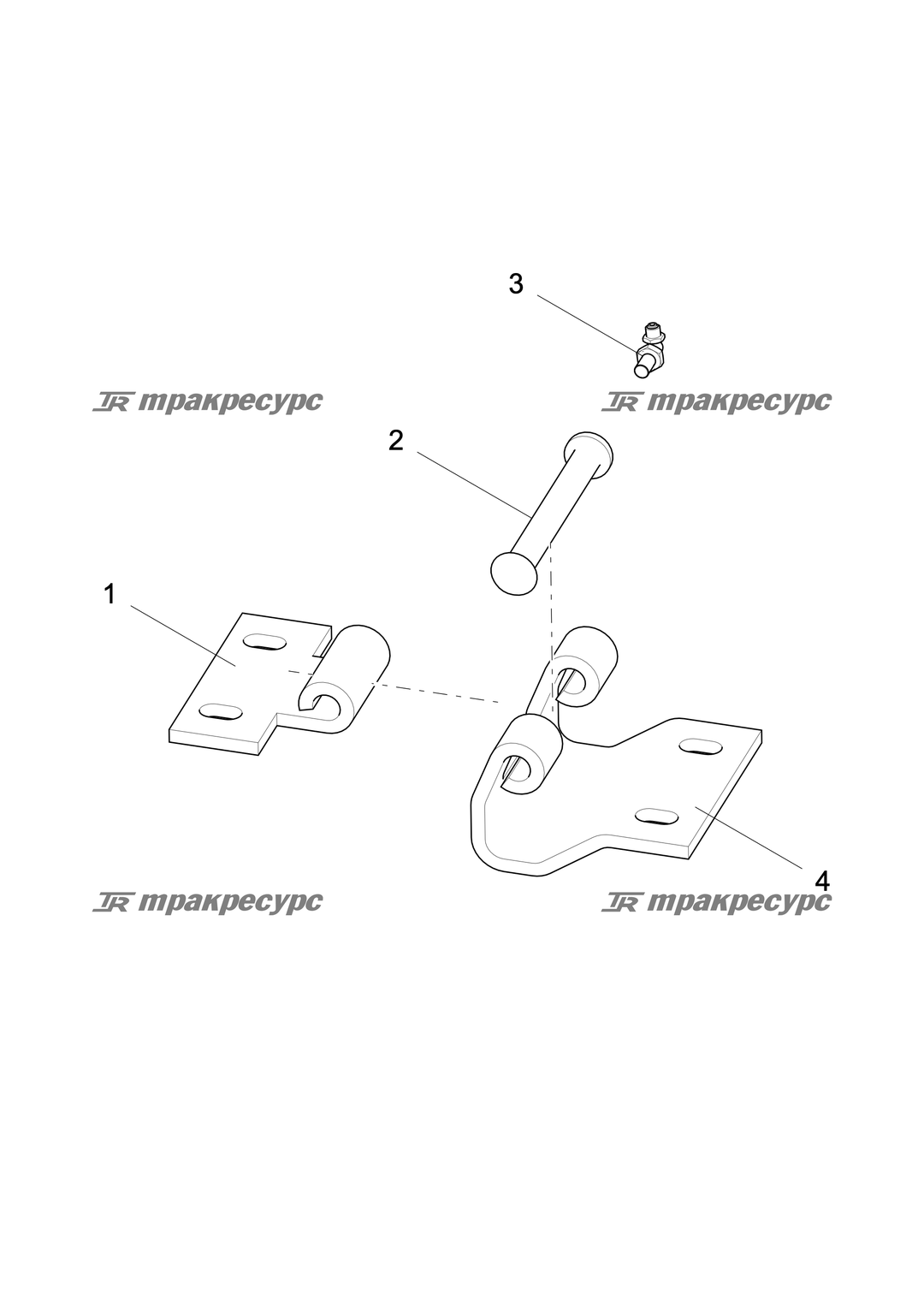 P000085442A2.png