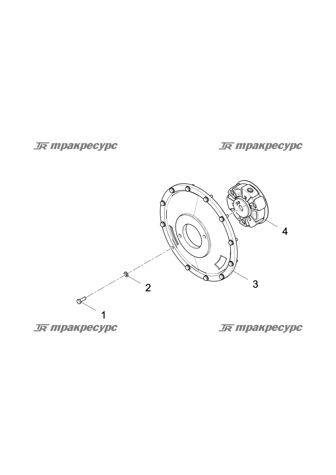 P000085582A2.png