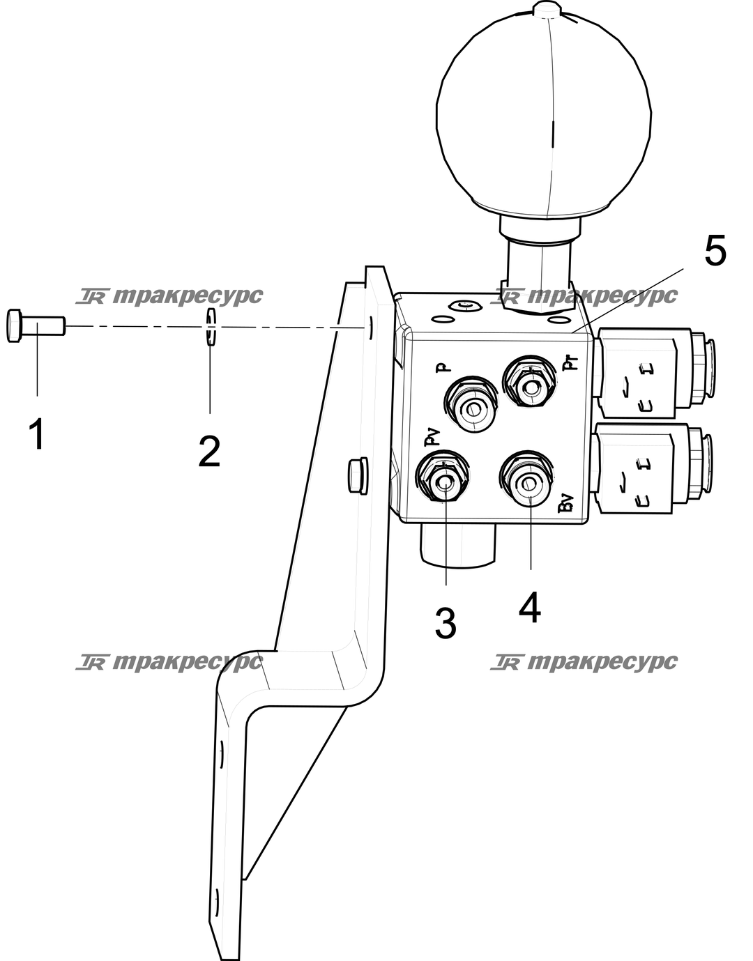 P000085883A3.png