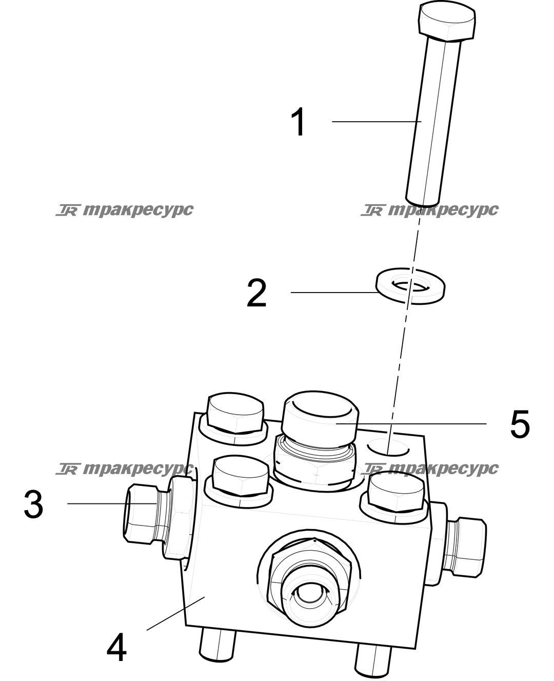P000085884A3.png