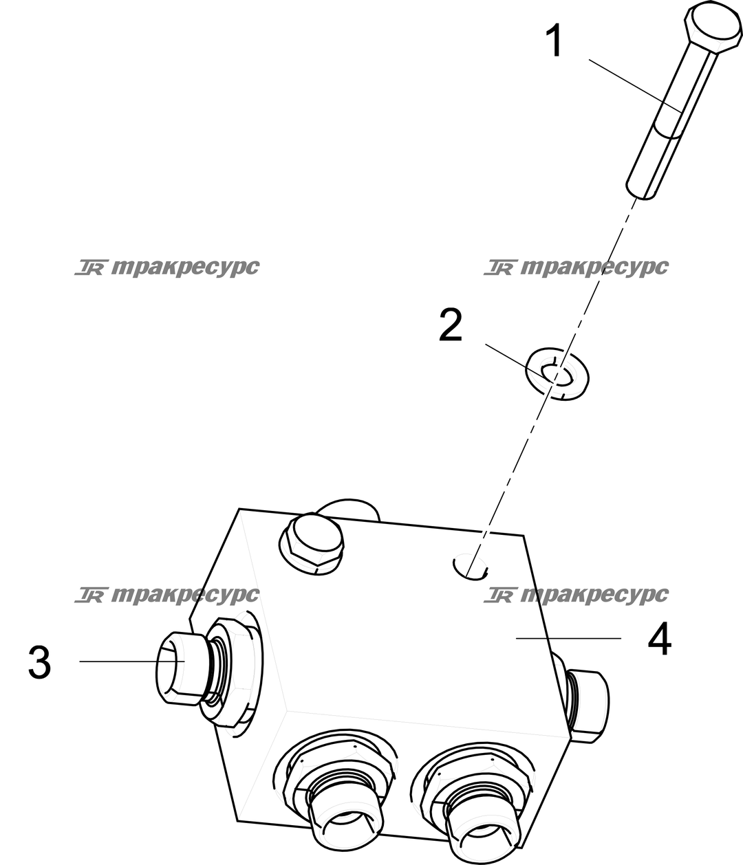 P000085886A3.png