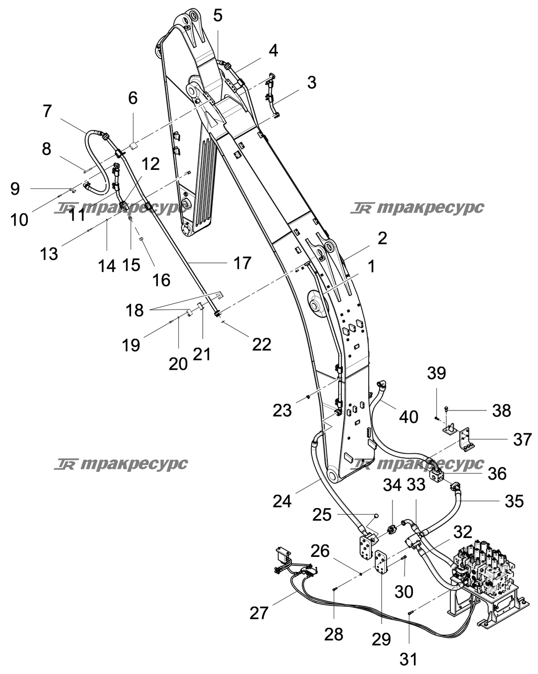 P000089582A2.png