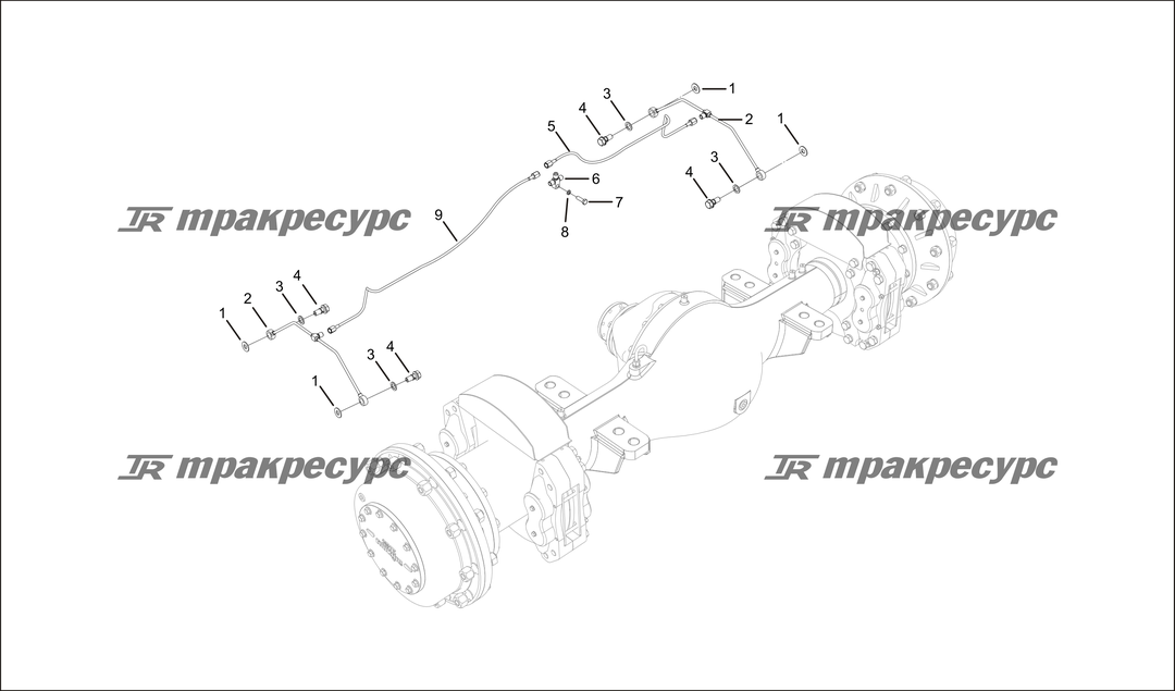 P000089.png