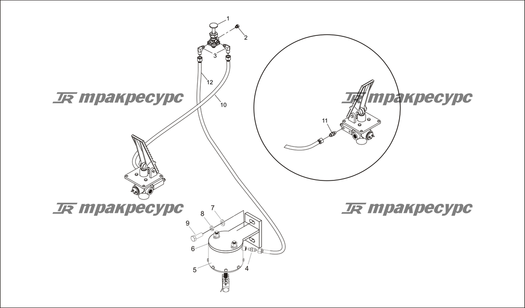 P000091.png