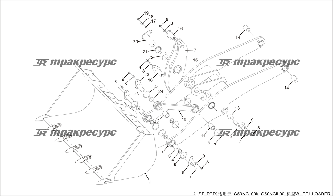 P000091.png