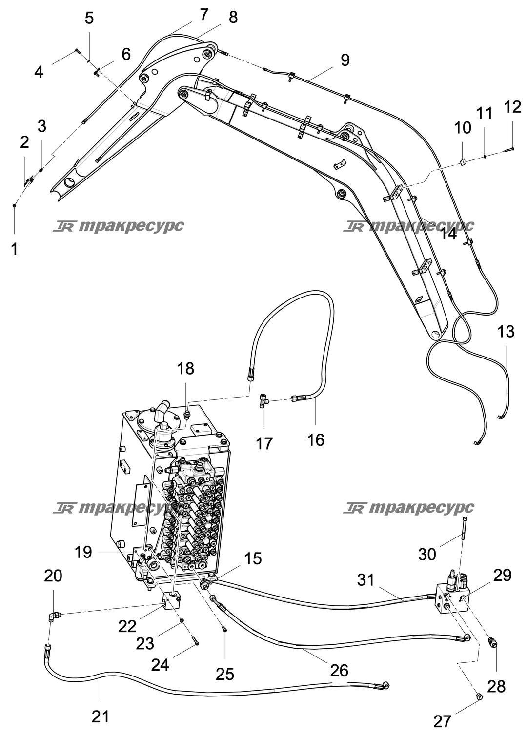 P000094962A2.png