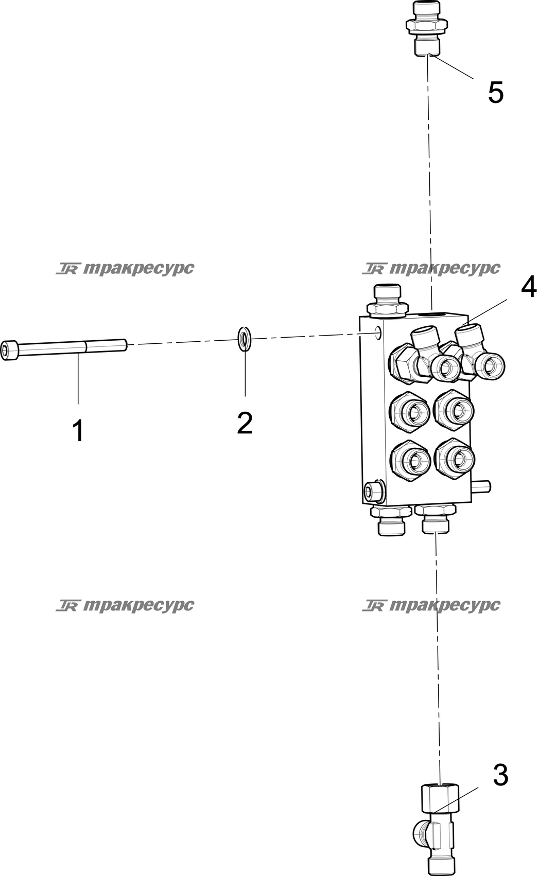 P000095143A2.png