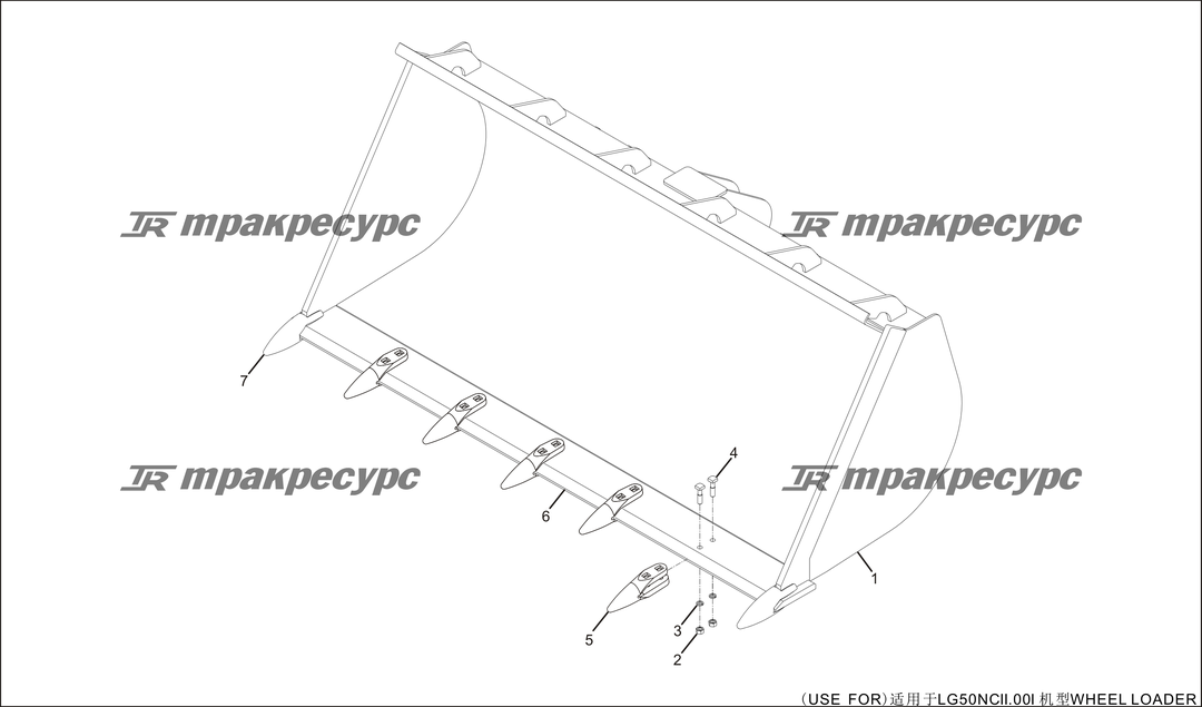 P000095.png