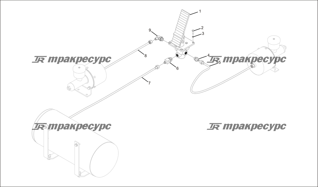 P000095.png