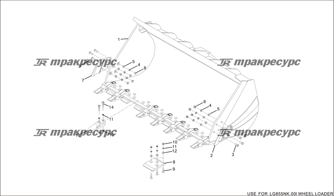 P000095.png