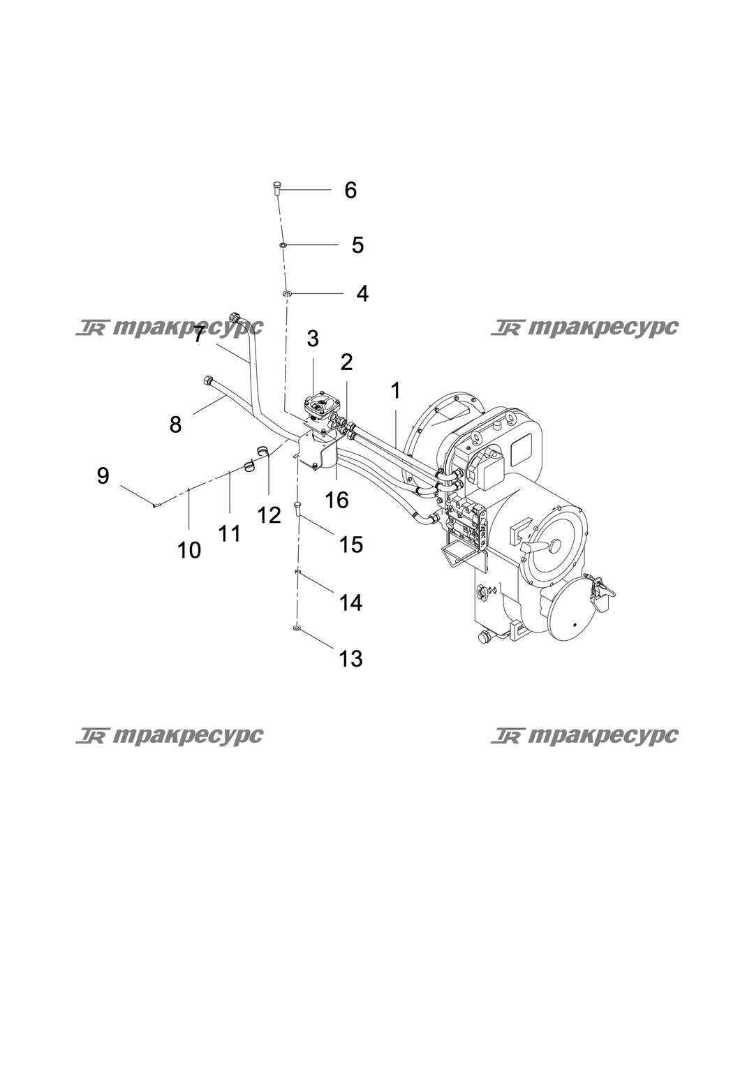 P000097102A2.png