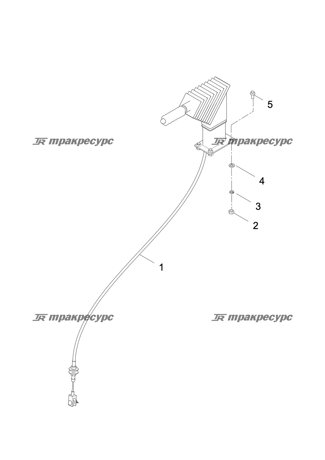 P000097462A2.png