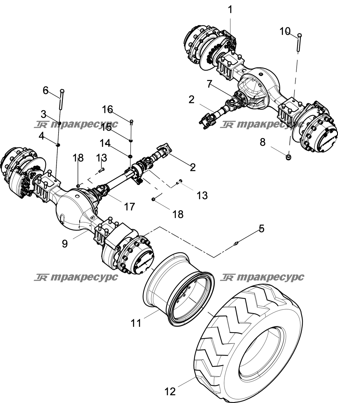 P000097782A3.png