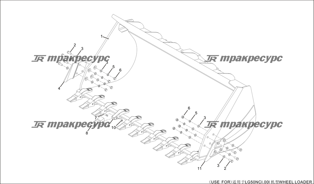 P000097.png