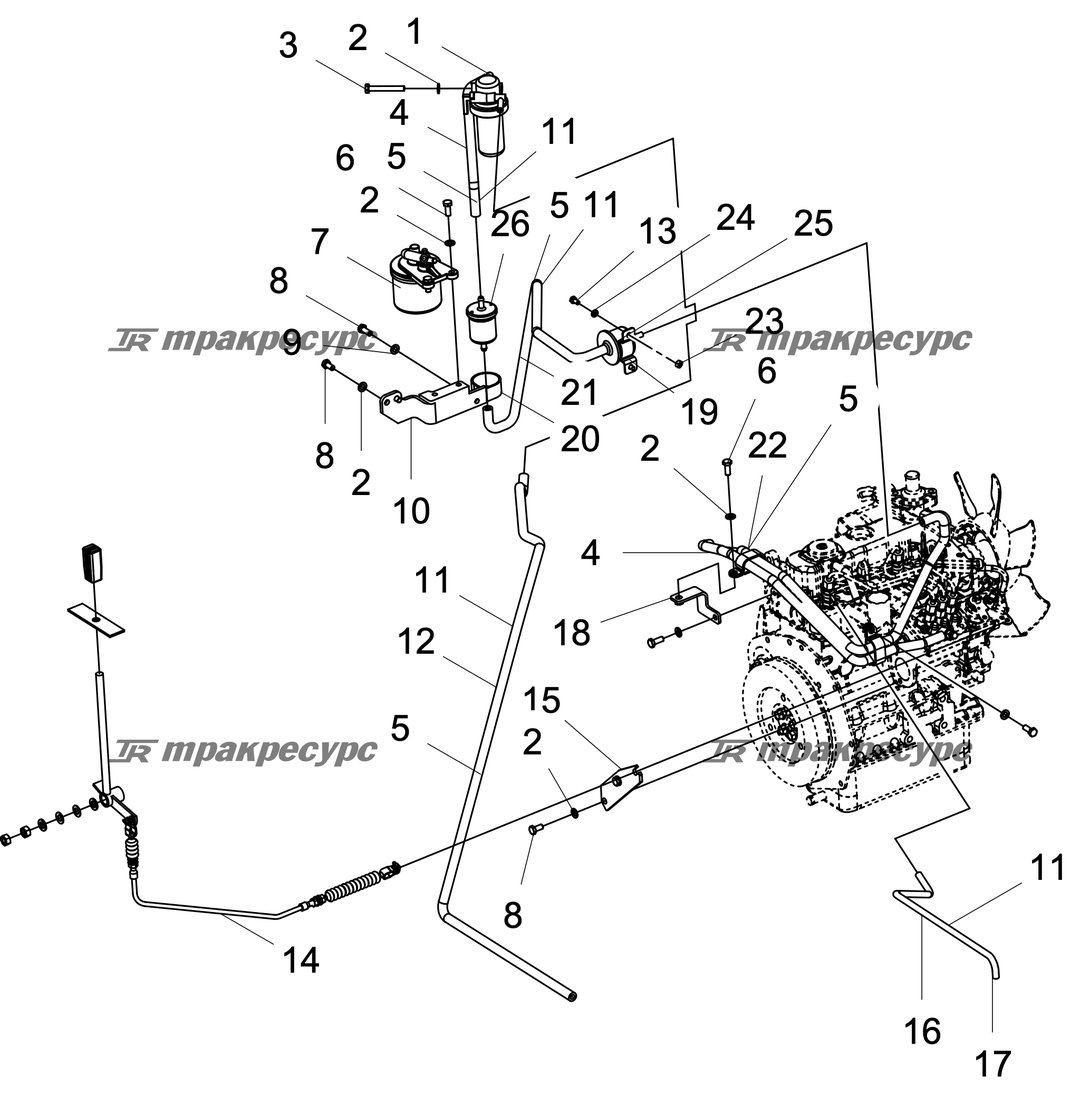 P000099983A2.png