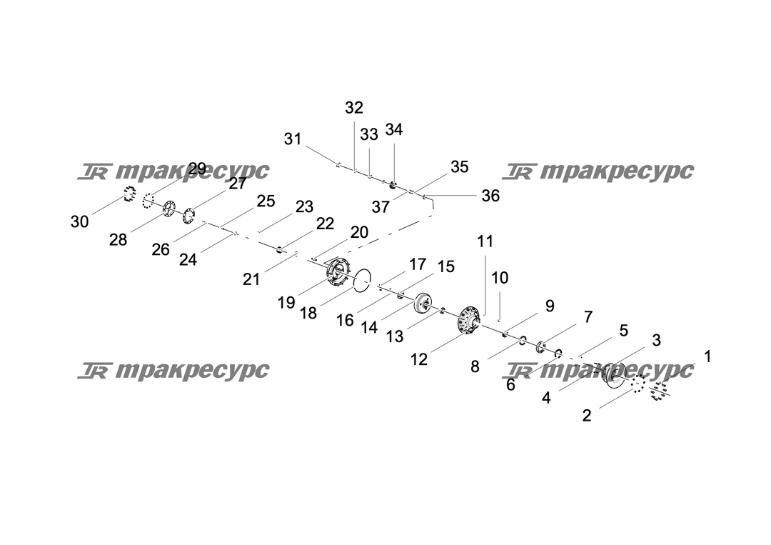 P000100062A2.png