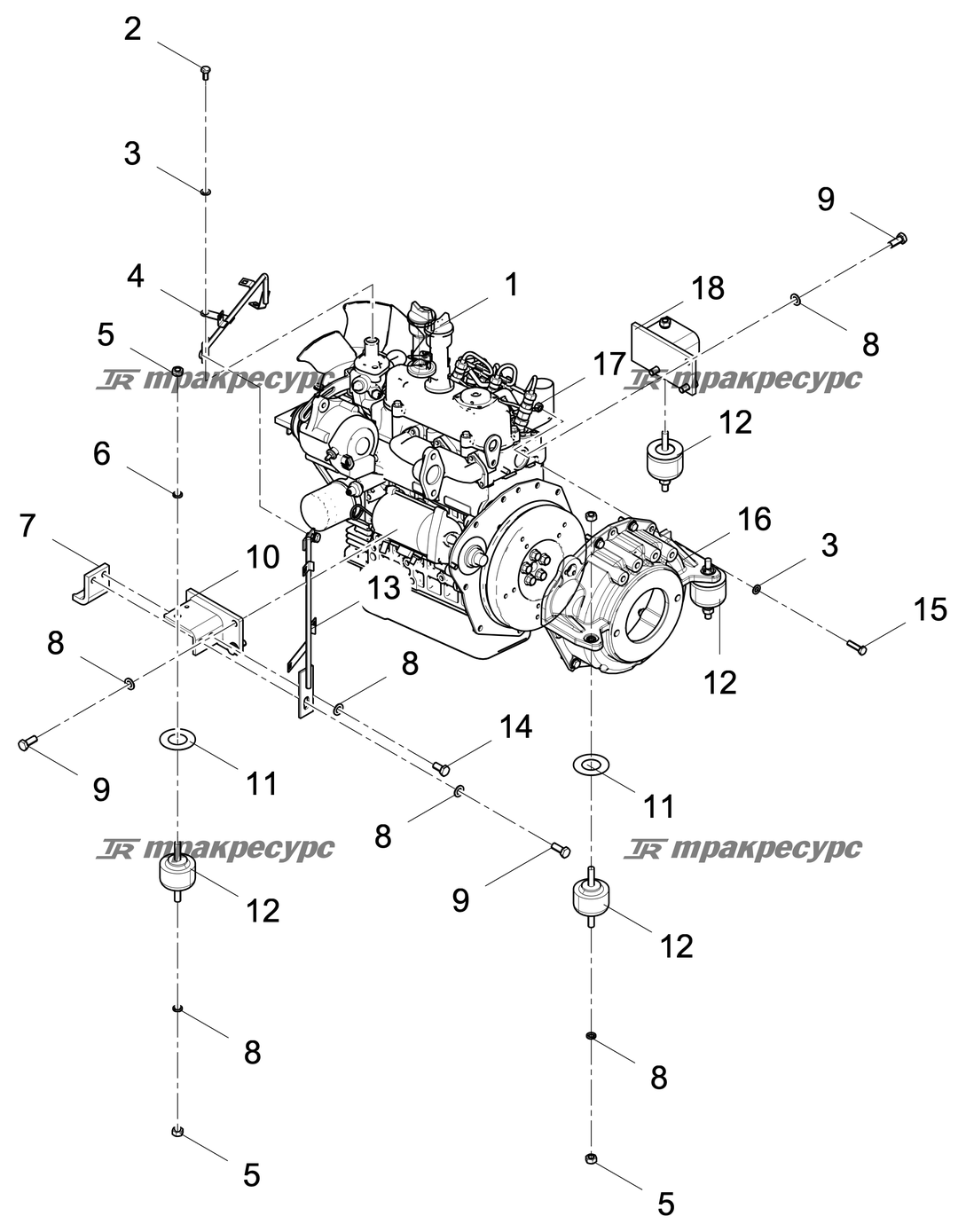 P000100142A2.png