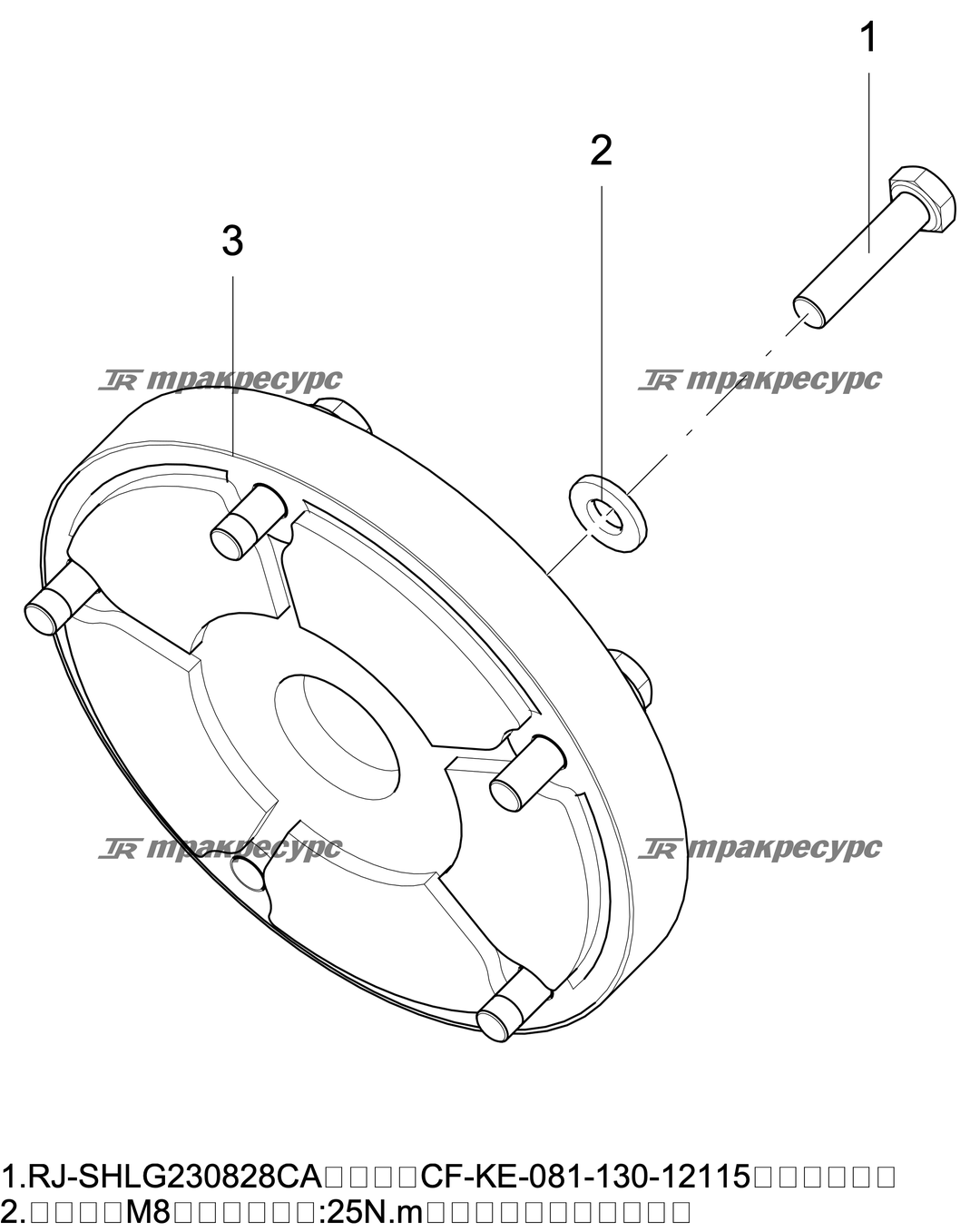 P000100243A2.png