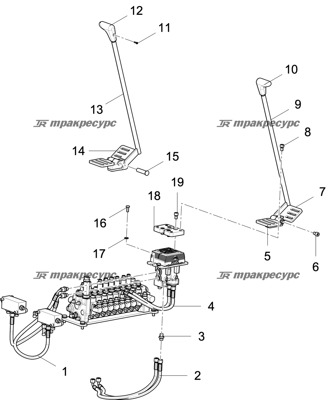 P000100382A2.png
