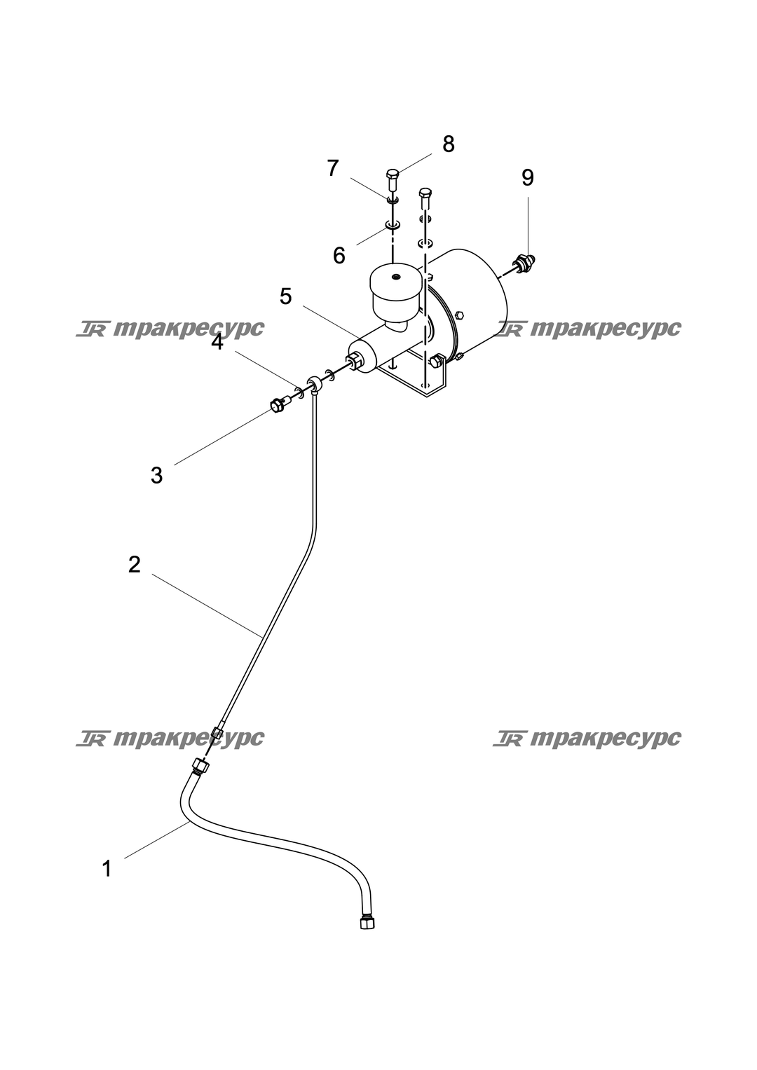 P000100542A2.png