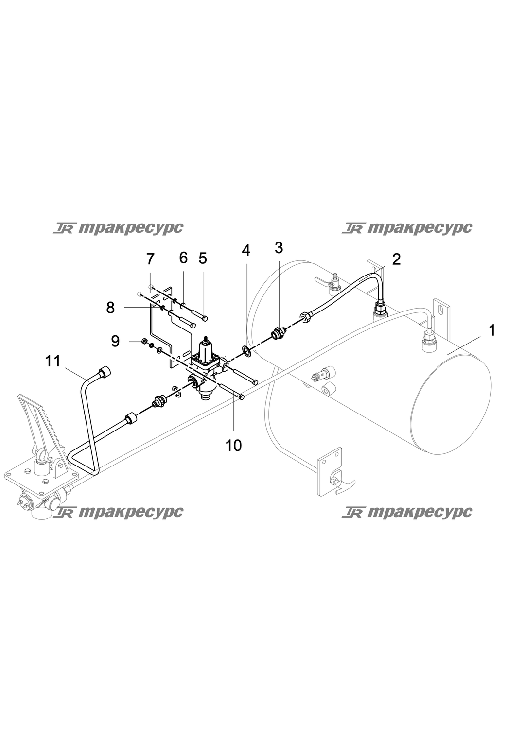 P000100602A3.png