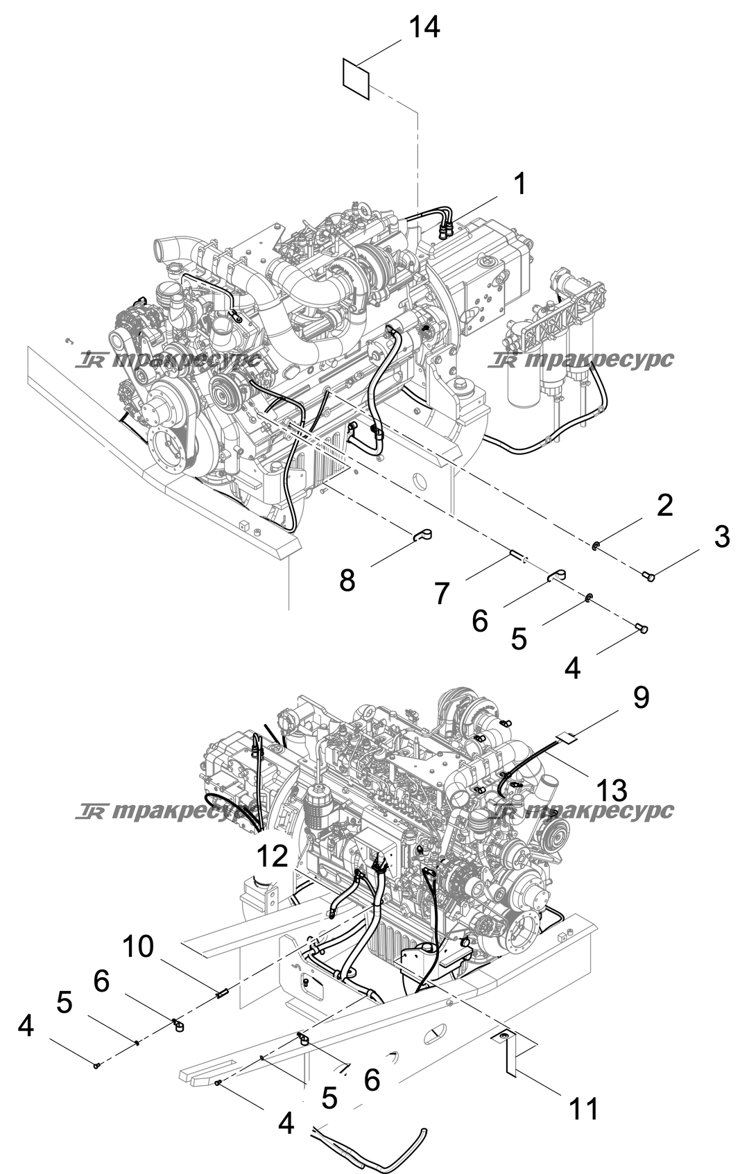 P000101105A2.png