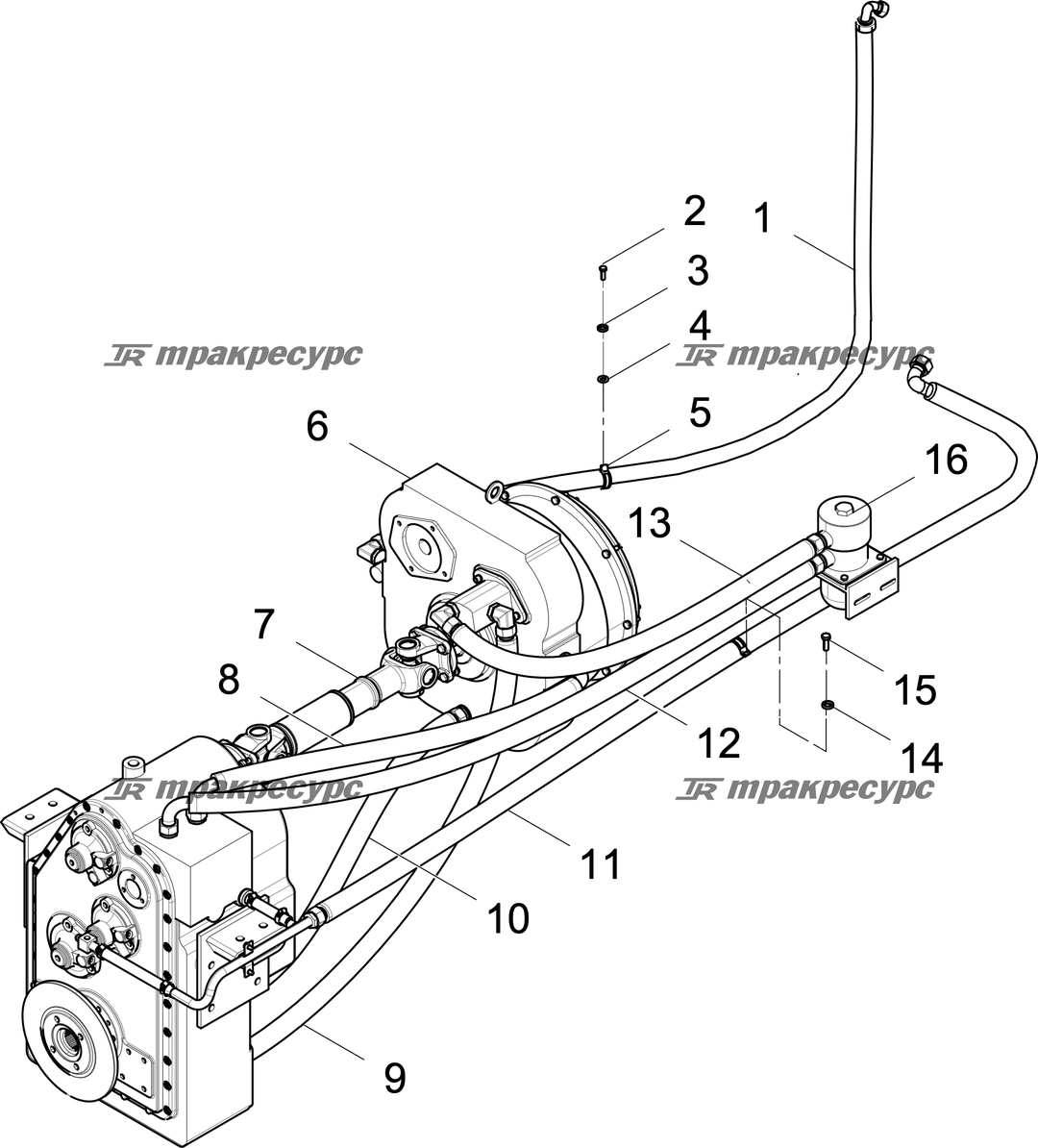 P000107502A2.png